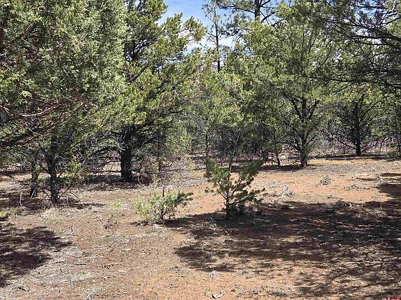 5th image of TBD Cottontail Lane