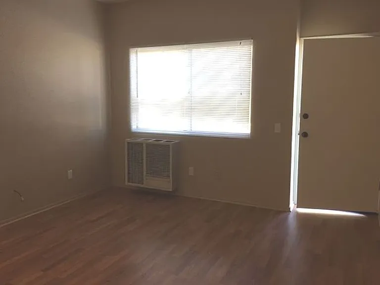 363 Palm Way — Photo 5