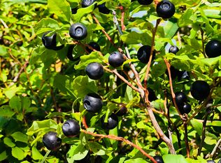 4 Paxson Ln, Kettle Falls, WA 99141