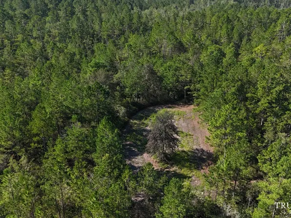 Tbd Woodsville Rd, Pineland, SC 29934