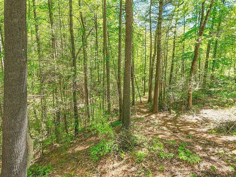 77 Fox Den Rd #1 — Photo 22