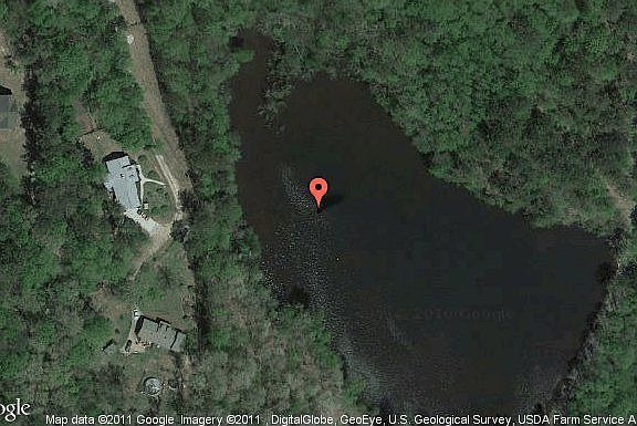 Map View