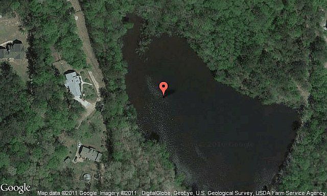 Map View