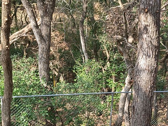 Off the back deck