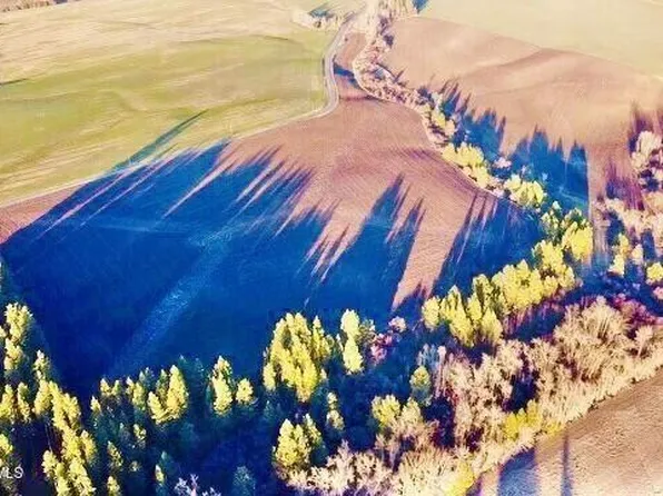 Nka Benewah Creek Rd, Plummer, ID 83851