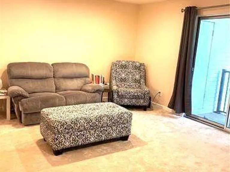 42630 Plymouth Hollow Dr #42630 — Photo 9