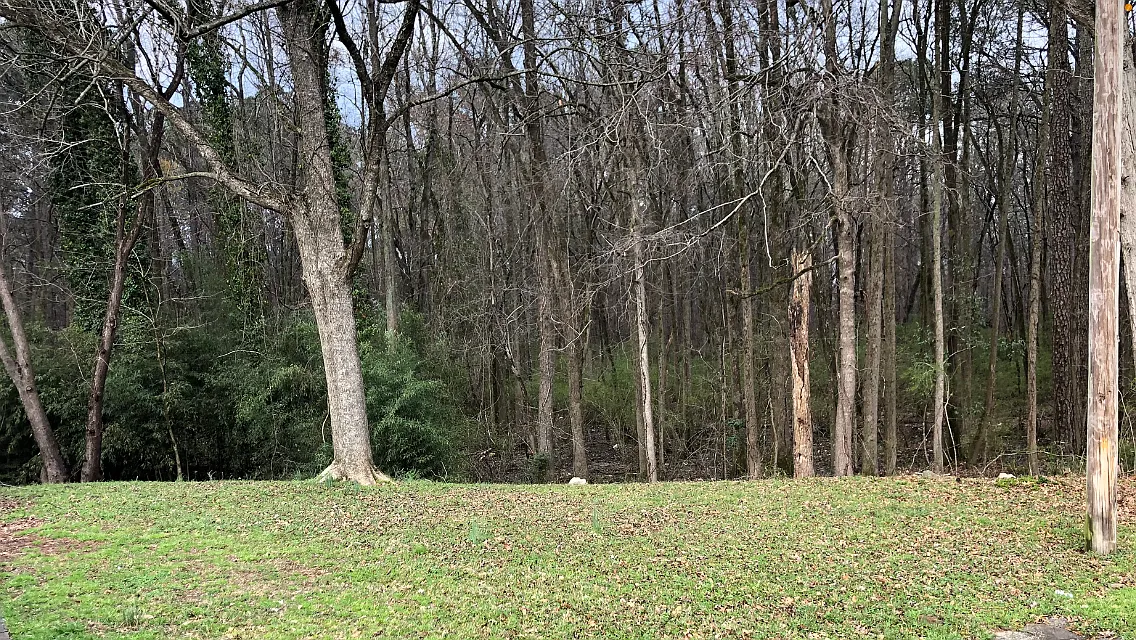 Studio, 700 sqft, $1,150 — Photo 2