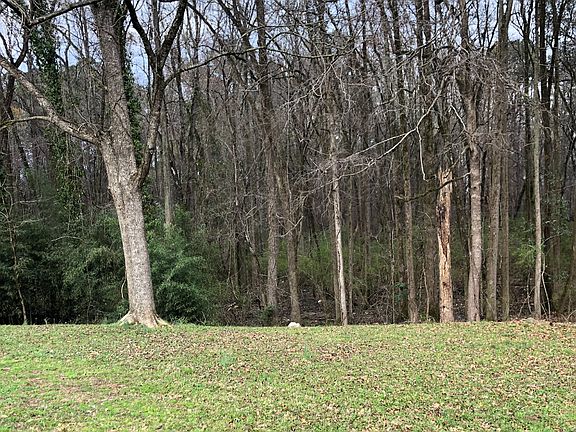 2nd image of 196 Dixboro Dr