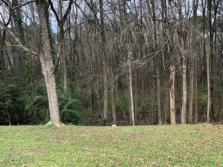 196 Dixboro Dr — Photo 2