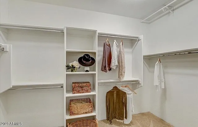walkin large closet - main