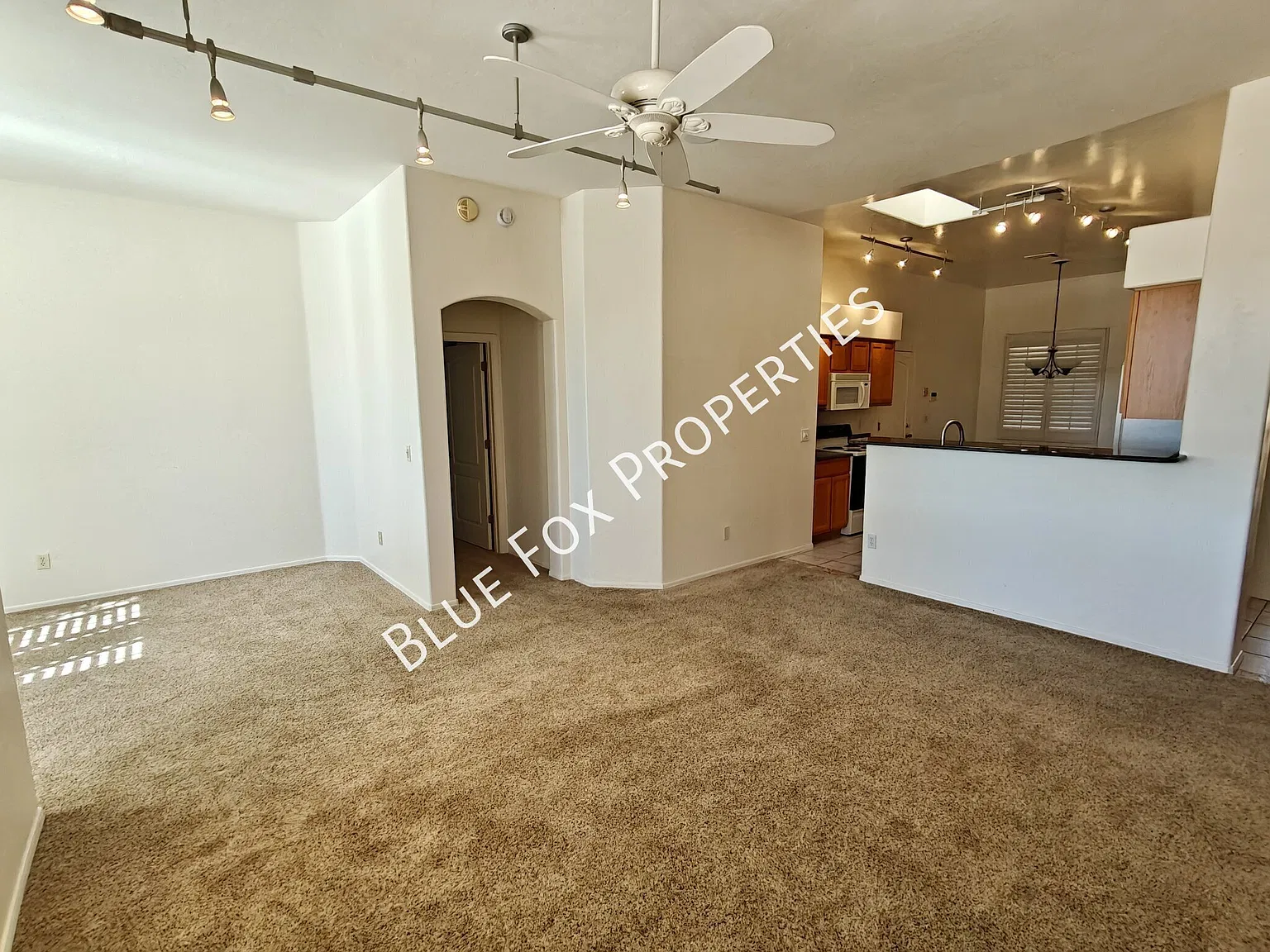 13088 N Pier Mountain Rd — Photo 4