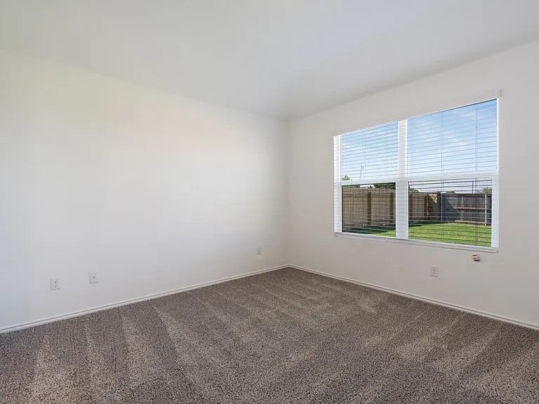 3210 Dusted Daisey St — Photo 20