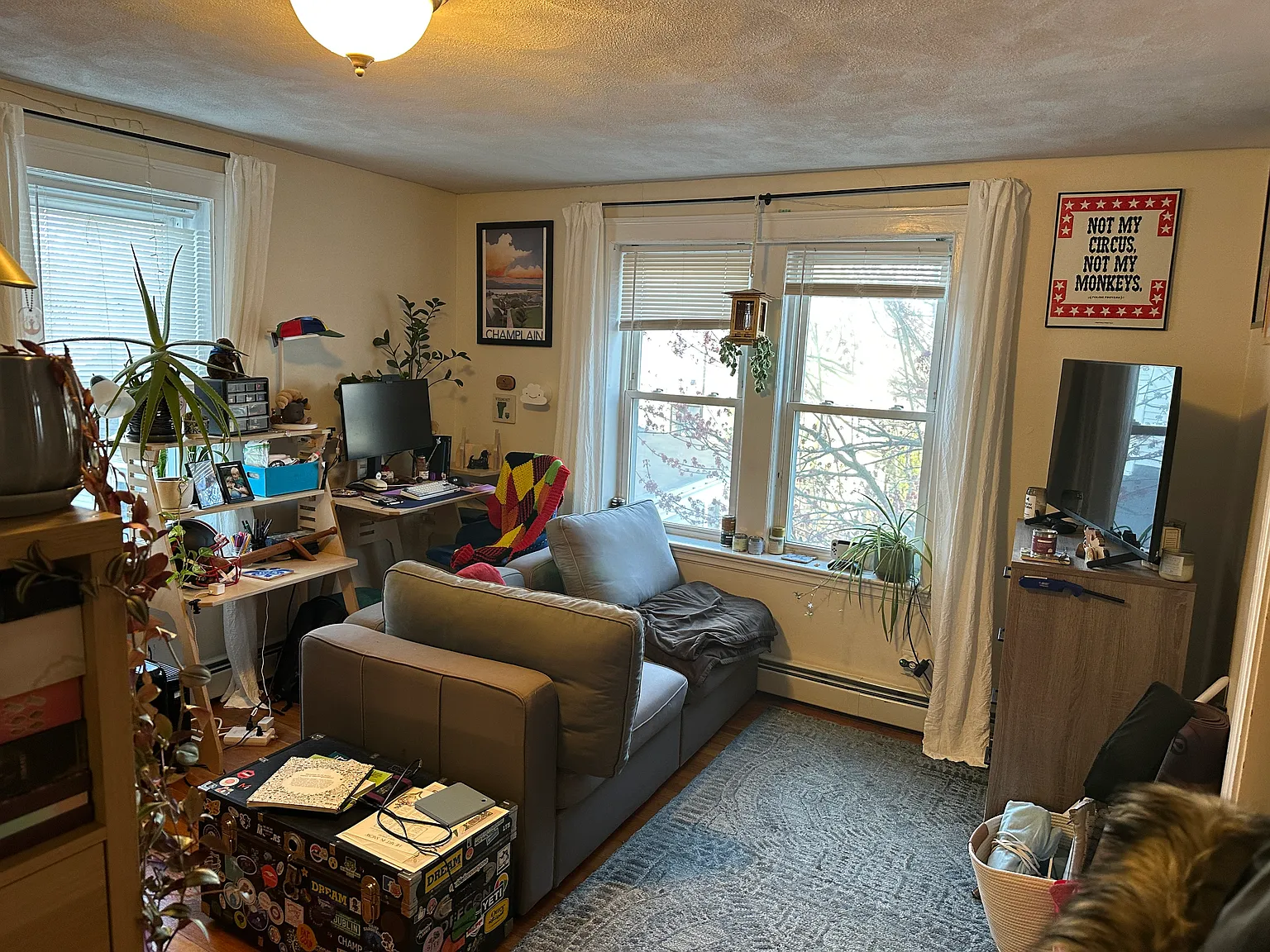 Studio, 500 sqft, $2,725 — Photo 4