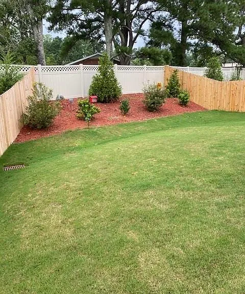 Spacious backyard