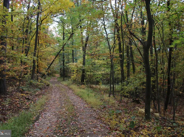 Moorehead Rd, Gore, VA 22637