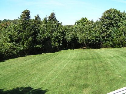 4th image of 9 Pine Grove Ct