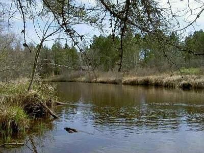 2nd image of 32511 Walters Rd