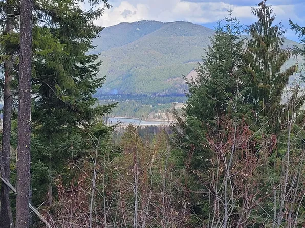 910 Schlegel Ranch Rd, Ione, WA 99139