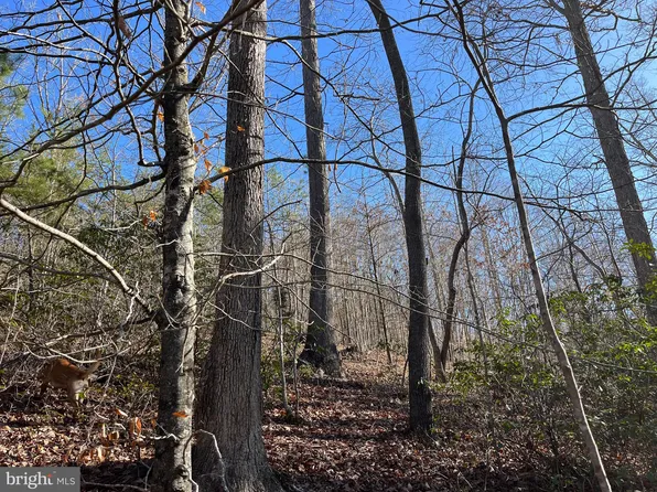 0 Terrapin Creek Rd, Huddleston, VA 24104