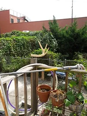 Rented by Realty Collective | media 23