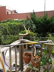 Rented by Realty Collective