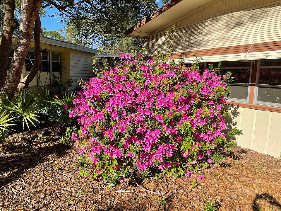 1st image of 554 Pine Needle Ct