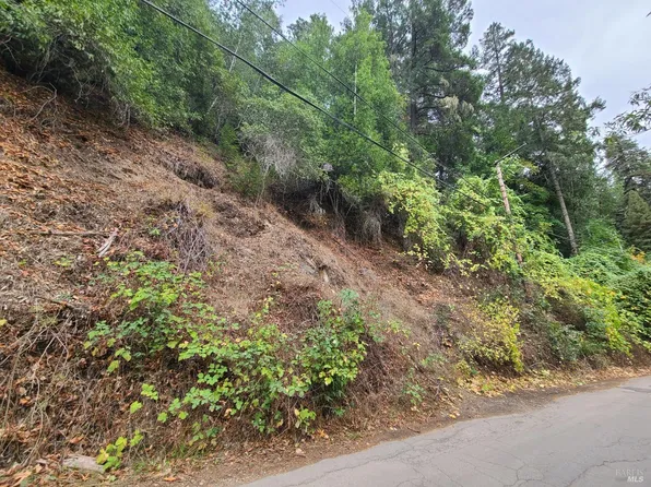 11400 Summerhome Park Road, Forestville, CA 95436