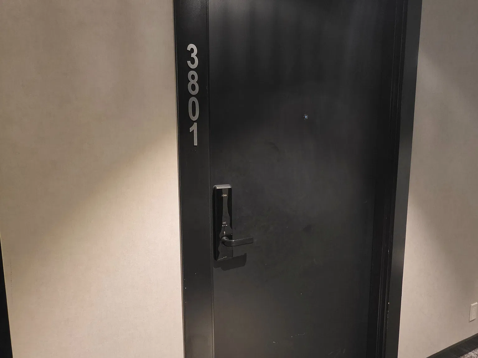 2 bed, $2,480 — Photo 3