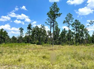 Sandy Loop TRACT 3, Merryville, LA 70653