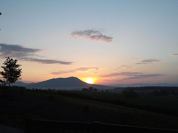 View from the front yard