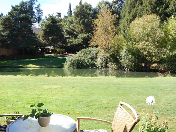 View from patio
