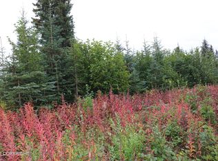 0 Electric Ln, Anchor Point, AK 99556