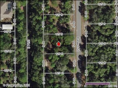 LOT 41 Basket St LOT 41, North Pt, FL, 34288