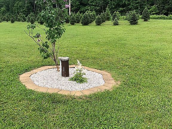 Front yard landscaping
