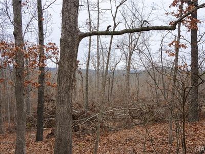 TRACT Holiday Ln #C, Dixon, MO, 65459