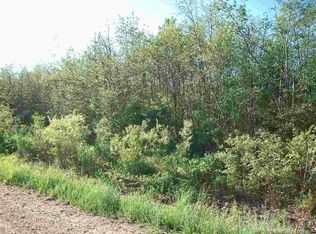 Tbd Mortimer Line, Croswell, MI 48422