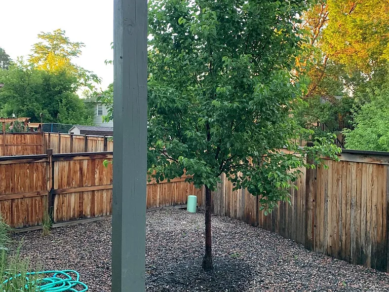 2626 Geranium Ln — Photo 24