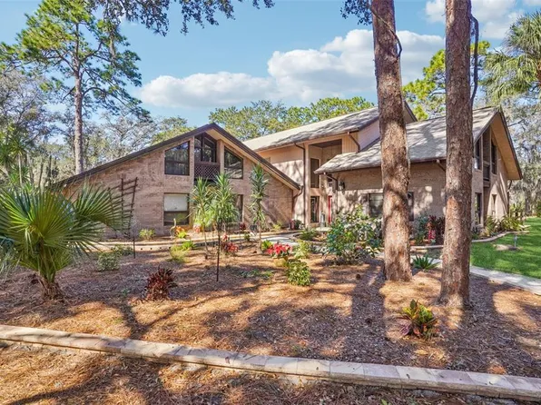29207 Old Ml W, Tavares, FL 32778
