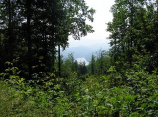 38 Fontana Trace Dr, Almond, NC 28702