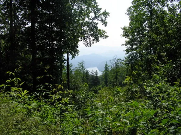 38 Fontana Trace Dr, Almond, NC 28702