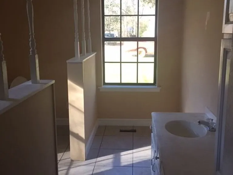 210 Pineleaf Ln — Photo 19