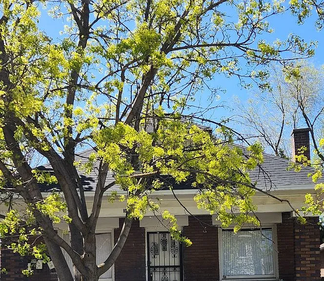 366 E Hubbard Avenue — Photo 2