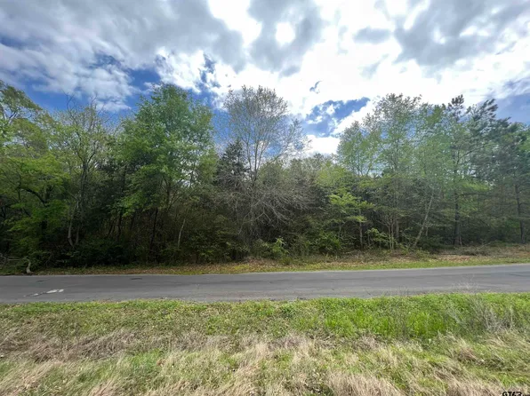 Garner St, Frankston, TX 75763