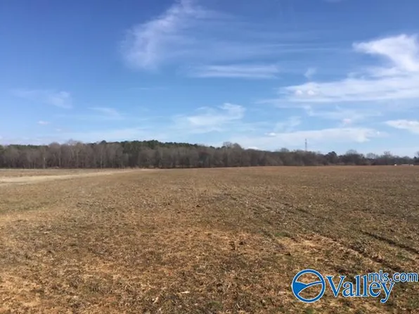 County Road 268, Town Creek, AL 35672