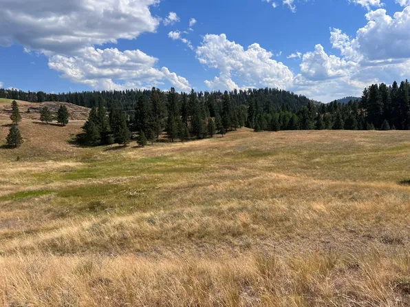 Tbd Curlew Dr, Republic, WA 99166