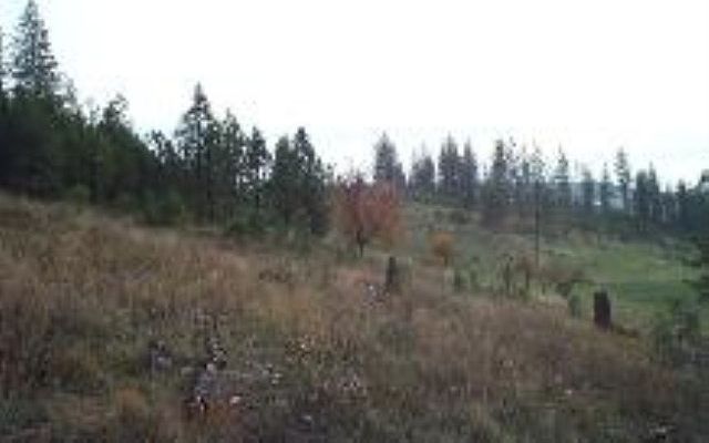 2nd image of 9200 E Big Meadows Rd