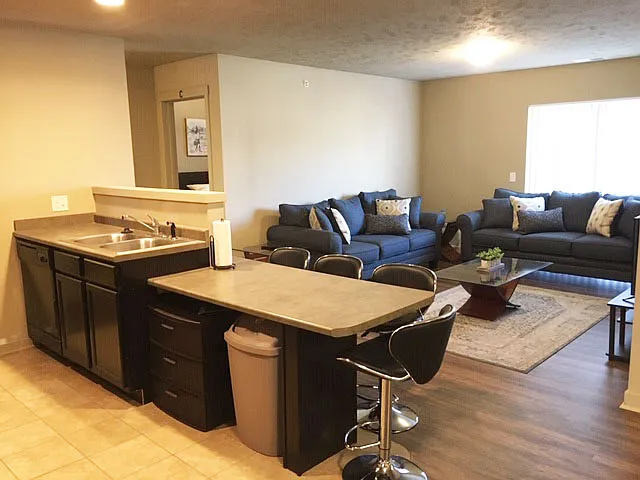 Living room and Bar area