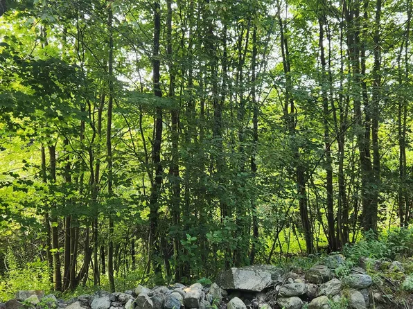 0 Oxbow Road #011, Hinsdale, NH 03451