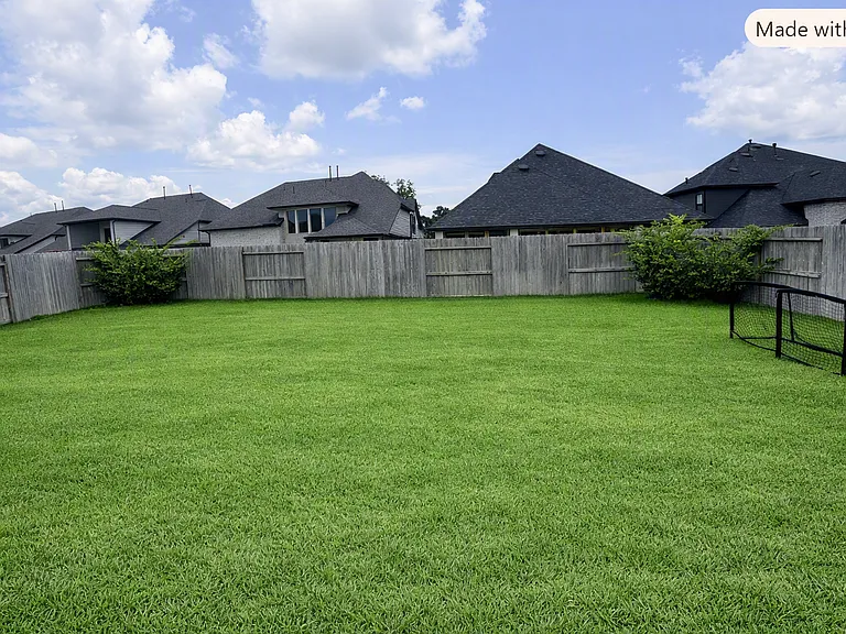 Backyard 2