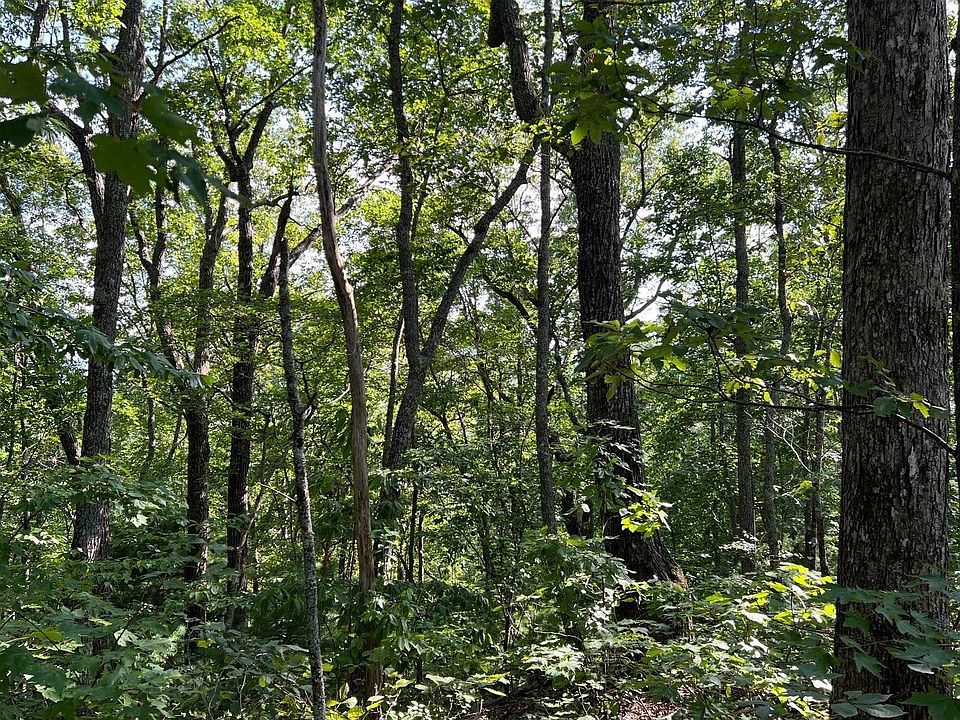 18 Matheson Cove Ct, Hayesville, NC 28904 MLS 20143995 Zillow